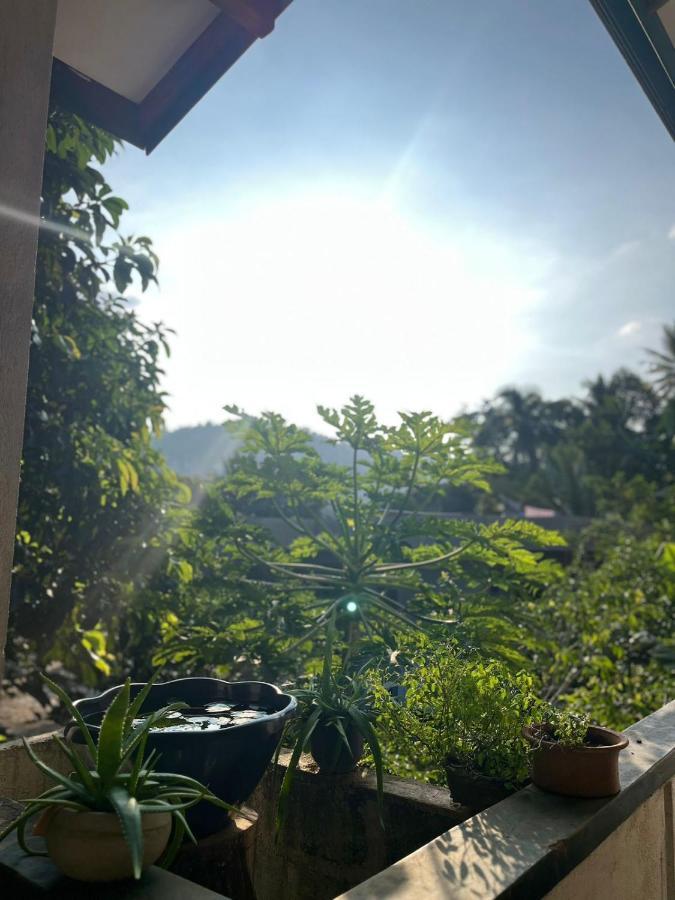 Rustic Mahaweli Apartman Kandy Kültér fotó